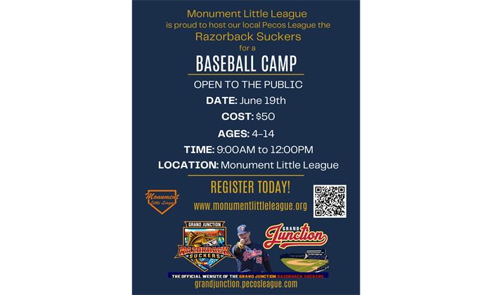 Razorback Suckers Baseball Camp!